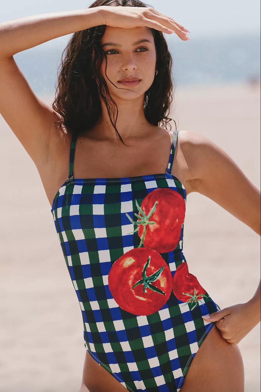 HUTCH | NWT Tavy One-Piece Swimsuit in Placed Tomatoes Blue Gingham Picnic S